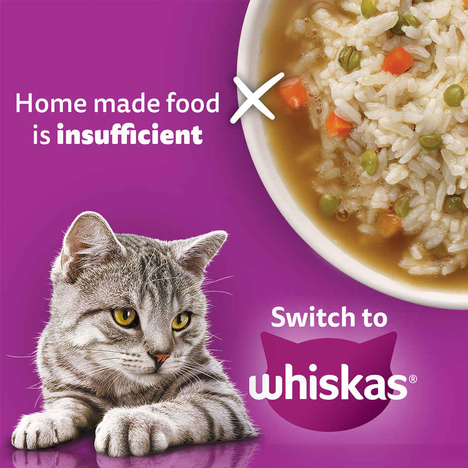 Whiskas Adult Ocean Fish Flavour Dry Cat Food Combo