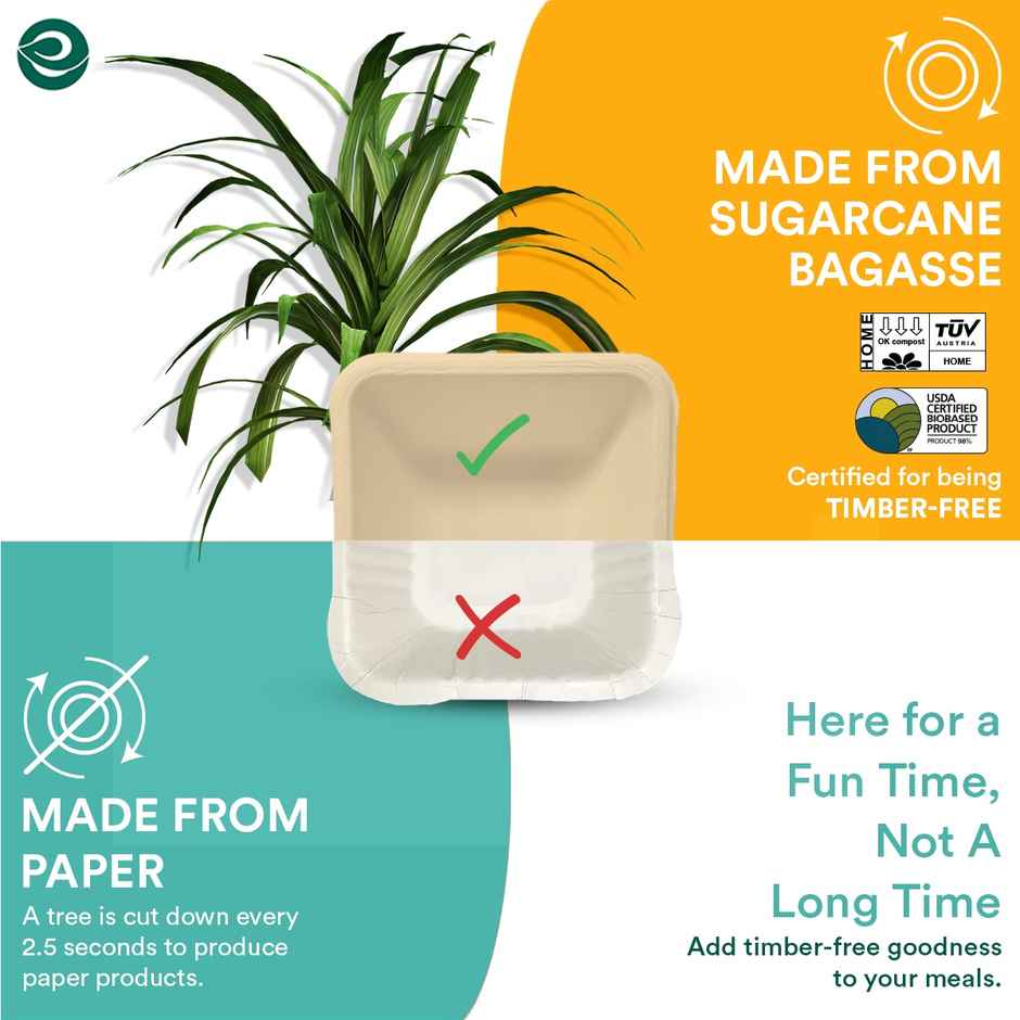 Square Disposable Bowl | 150 ml | 25 Count | Eco Soul