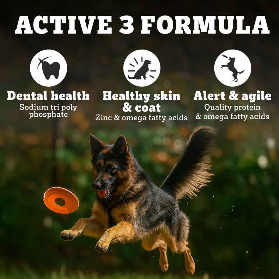 Pedigree PRO Adult Large Breed (18 Months+) Dog Food