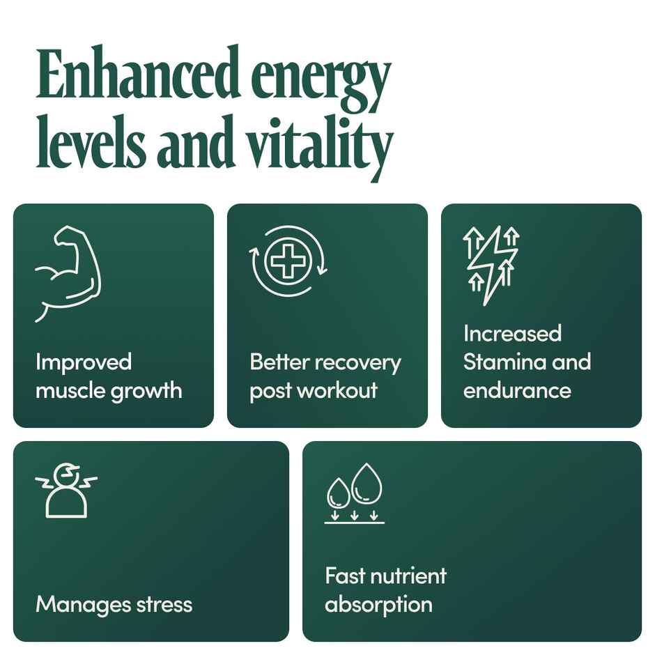 Bold Care Himalayan Shilajit Gold Resin | Pure | Natural | 80+ Minerals