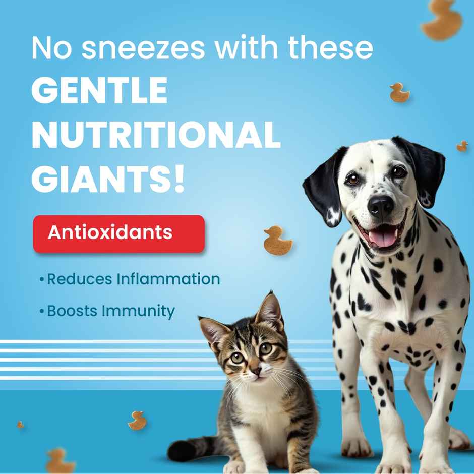 Bark Out Loud | Dog Treat & Cat Treat |  Duck Meat Hypoallergenic