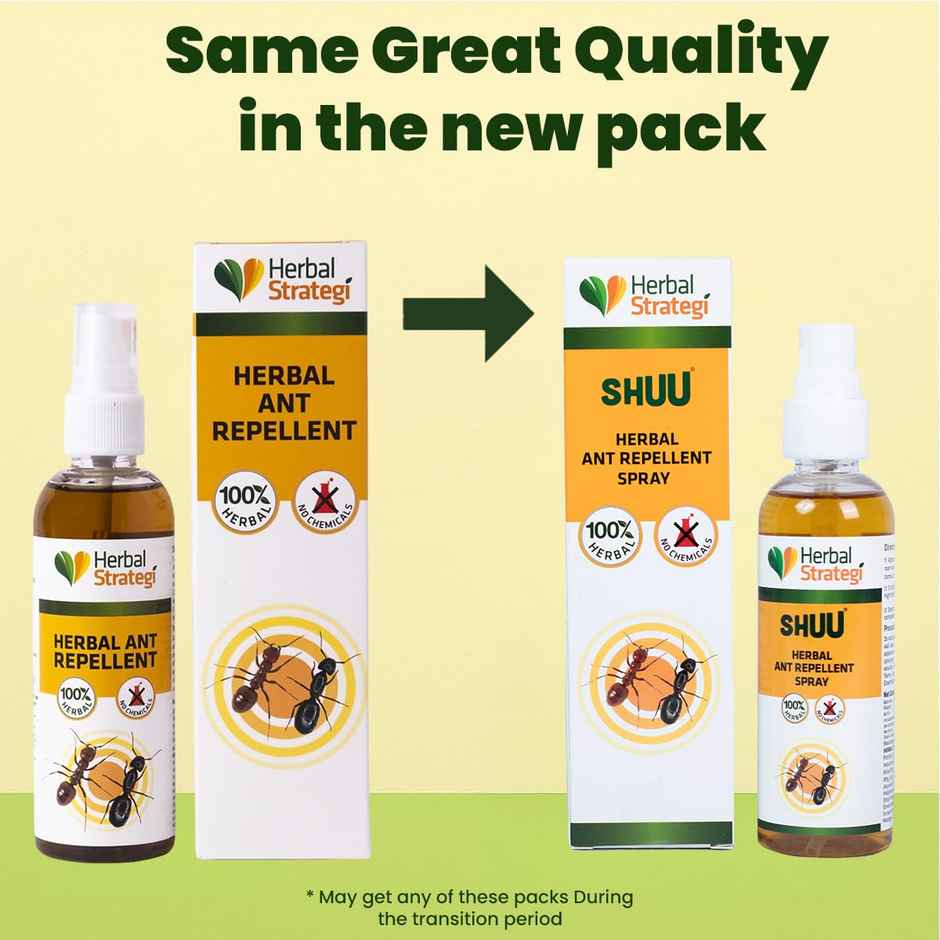Herbal Strategi Ant Repellent