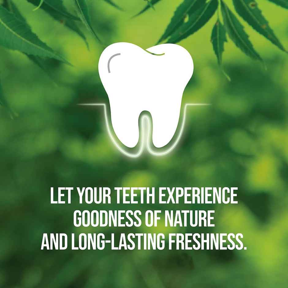 Neem Active Toothpaste And Free Toothbrush With Natural Antibacterial Protection For Strong Teeth