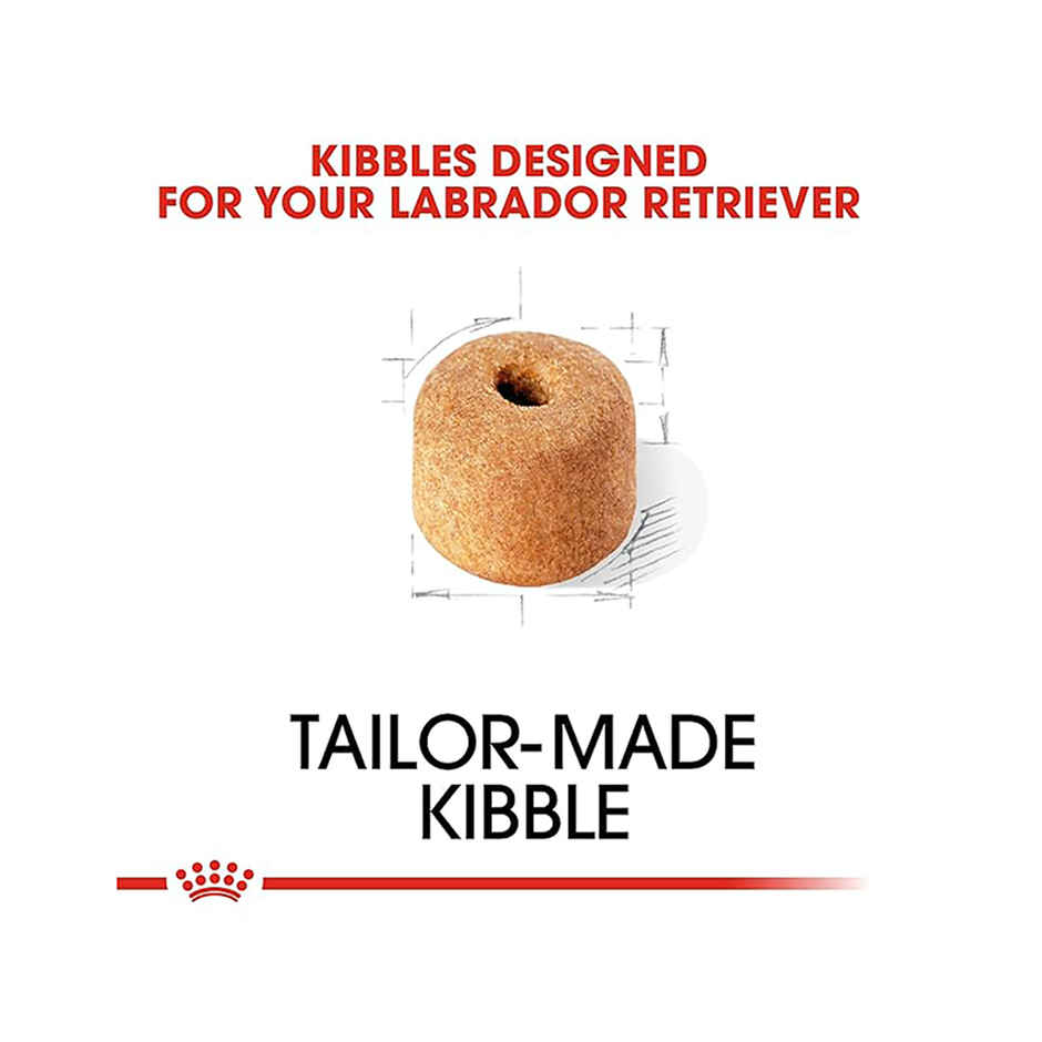 Royal Canin Labrador Retriever Adult Dog Dry Food 3Kg