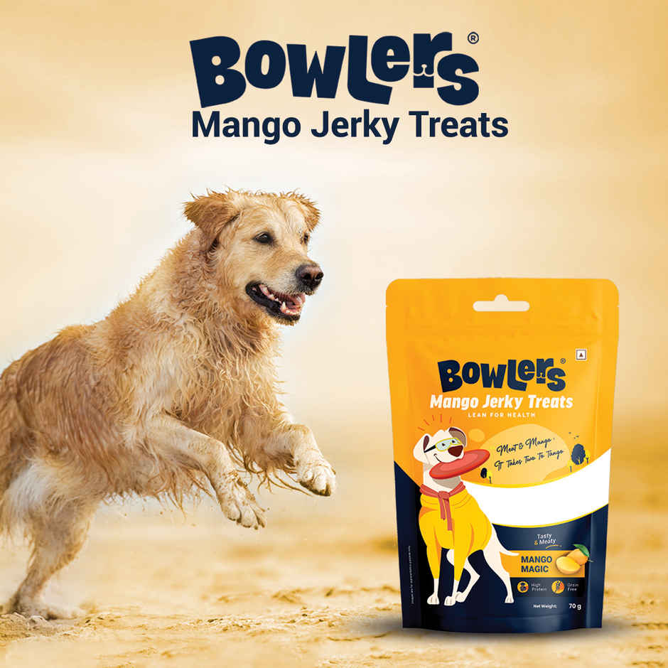 Bowlers Dog Mango Jerky