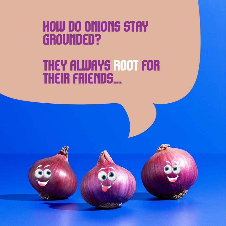 CRISTA Hearty Onion Powder