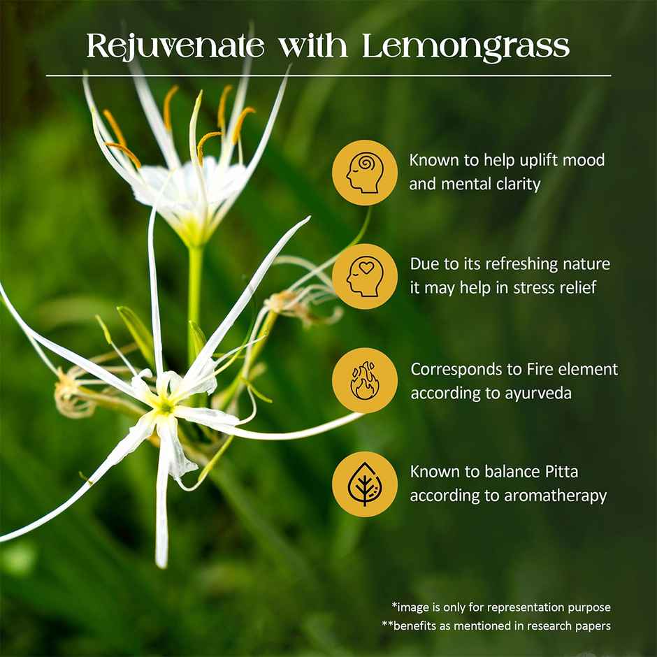 Tattvic Essence Luxury Reed Diffuser Set, Lemongrass| Helps Focus