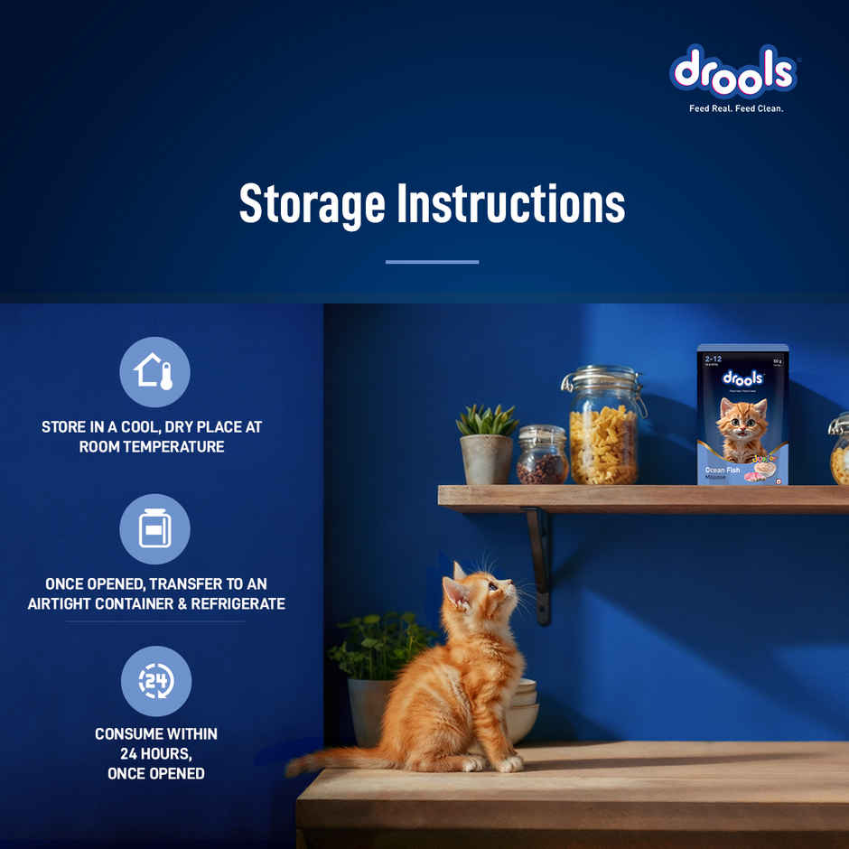 Drools Ocean Fish Mousse Kitten Wet Food