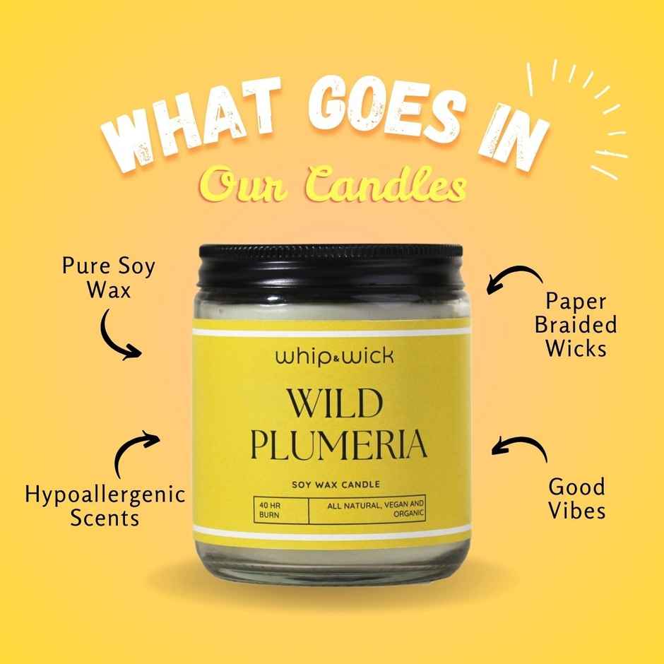 Whipand Wick Wild Plumeria Scented Candle