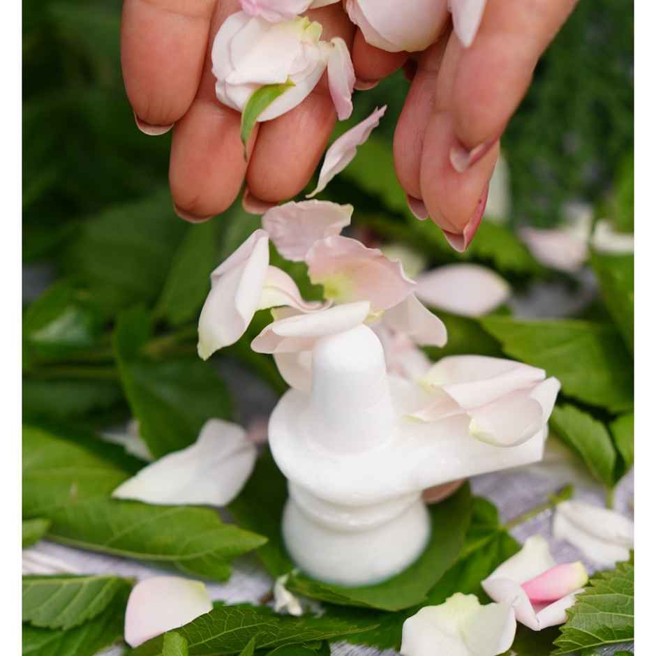 White Marble Shivling | Shiva Lingam for Spiritual Pooja | Servdharm