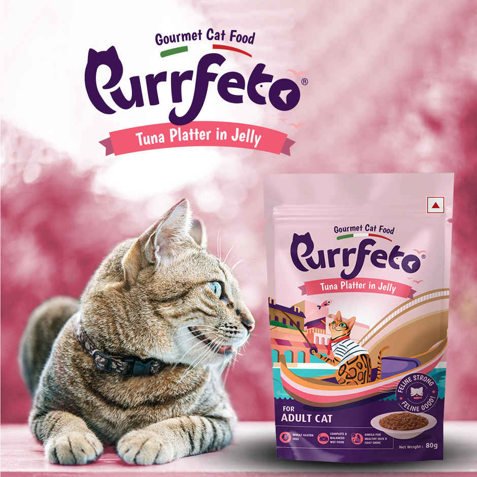 Purrfeto Wet Cat Food Tuna Recipe in Jelly | Pack of 12