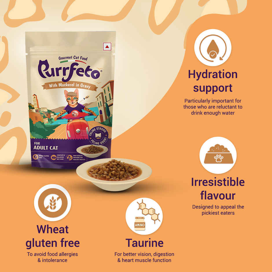 Purfetto Wet Cat FOOD With Mackerel In Gravy