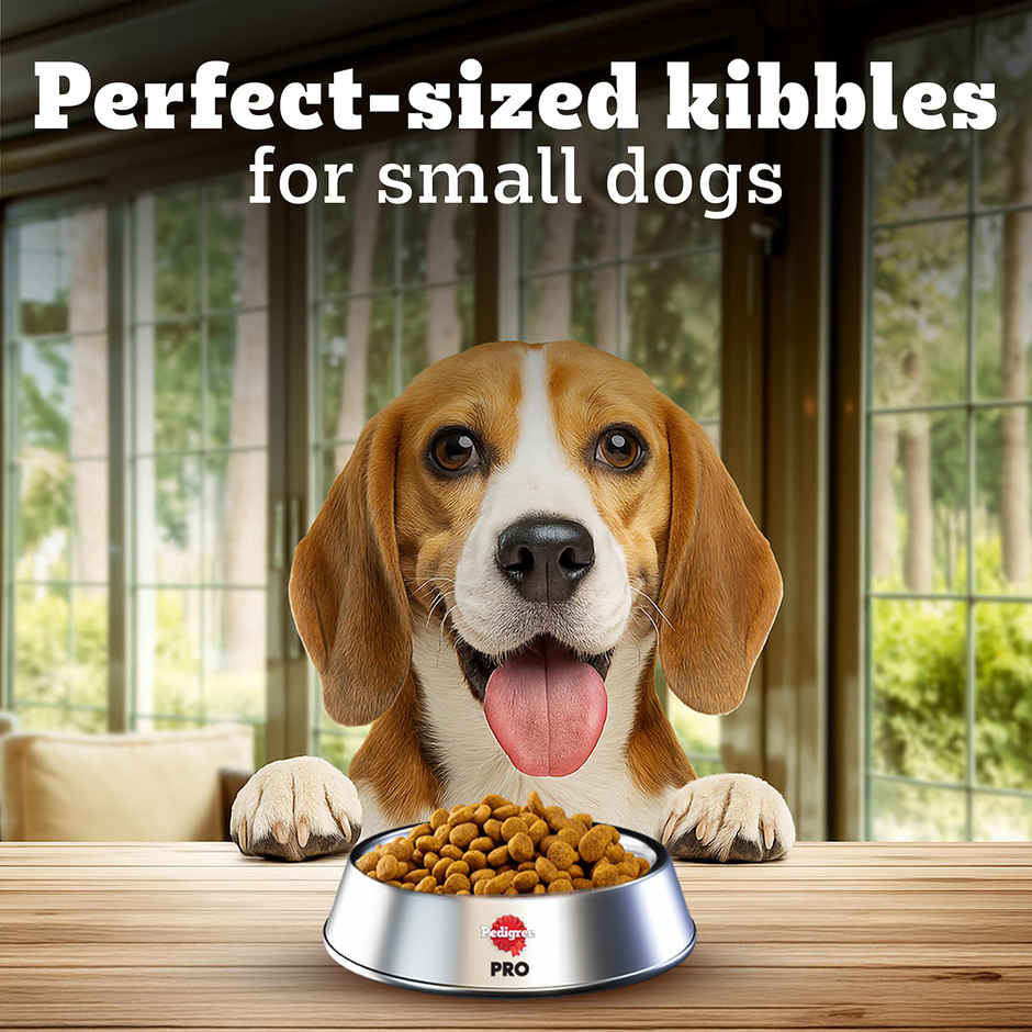 Pedigree PRO Adult Small Breed (9 Months+) Dog Food