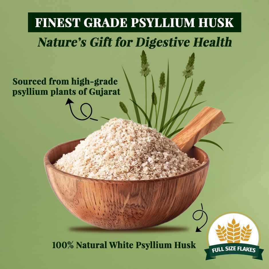 Vansaar 45+ Isabgol Fiber Rich Supplement