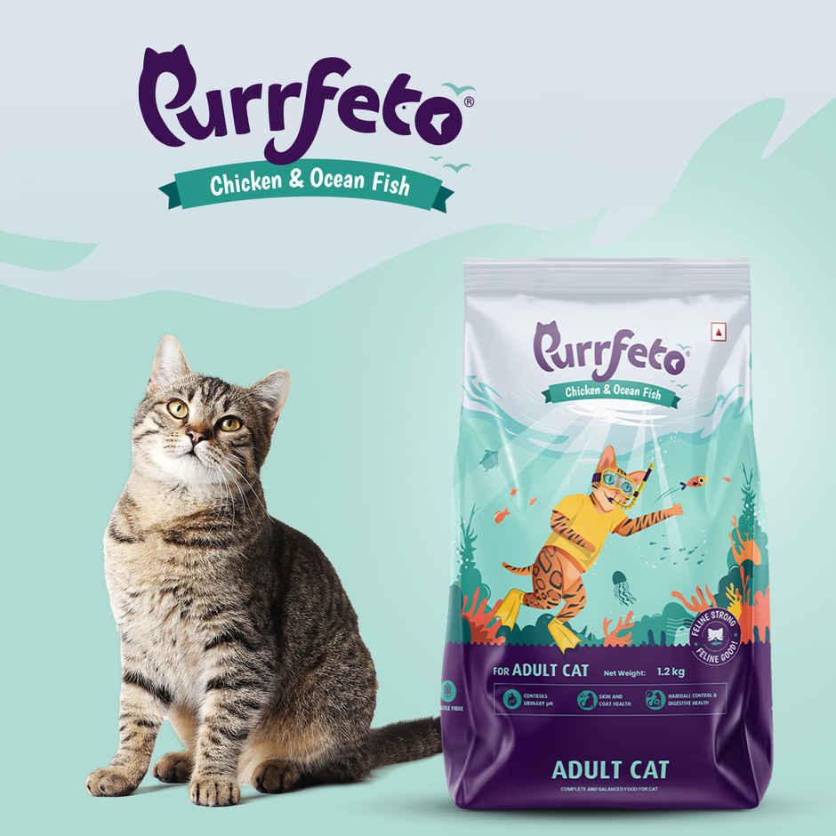 Purrfeto Dry Cat Food Chicken & Ocean Fish | Adult