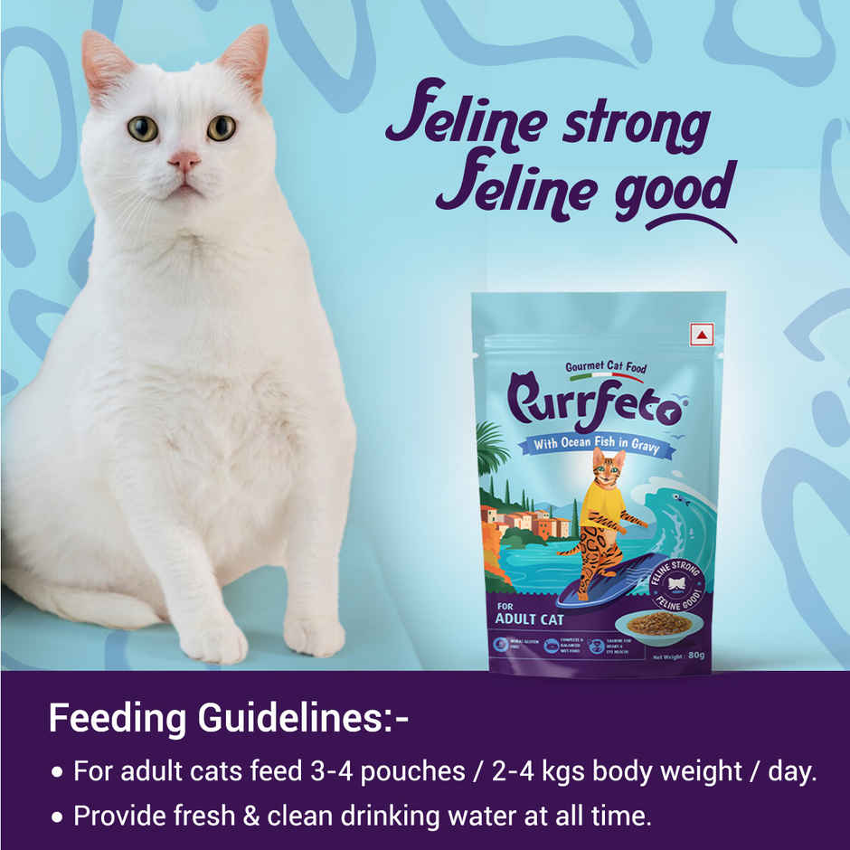 Purfetto Wet Cat FOOD With Ocean Fish In Gravy