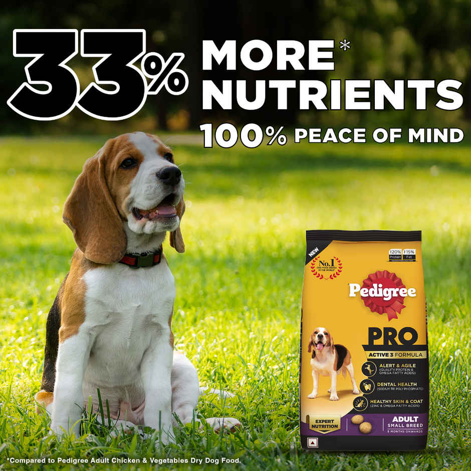 Pedigree PRO Adult Small Breed (9 Months+) Dog Food