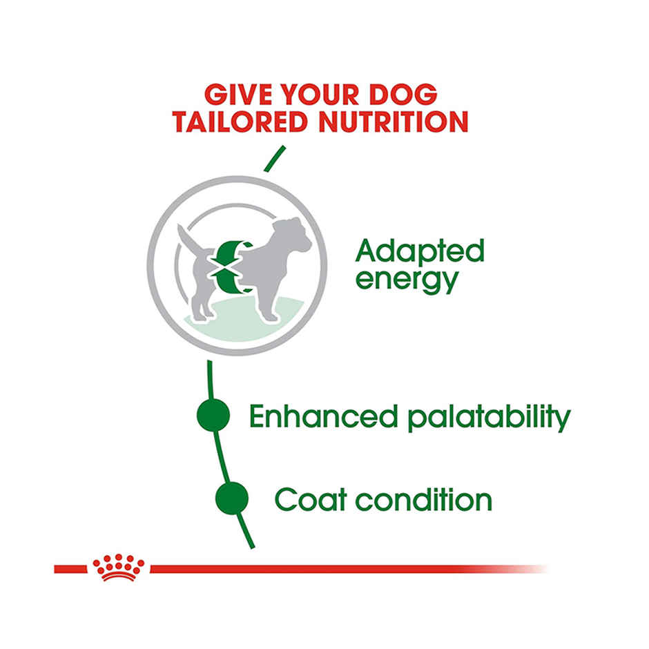 Royal Canin Mini Adult Dog Dry Food 4Kg