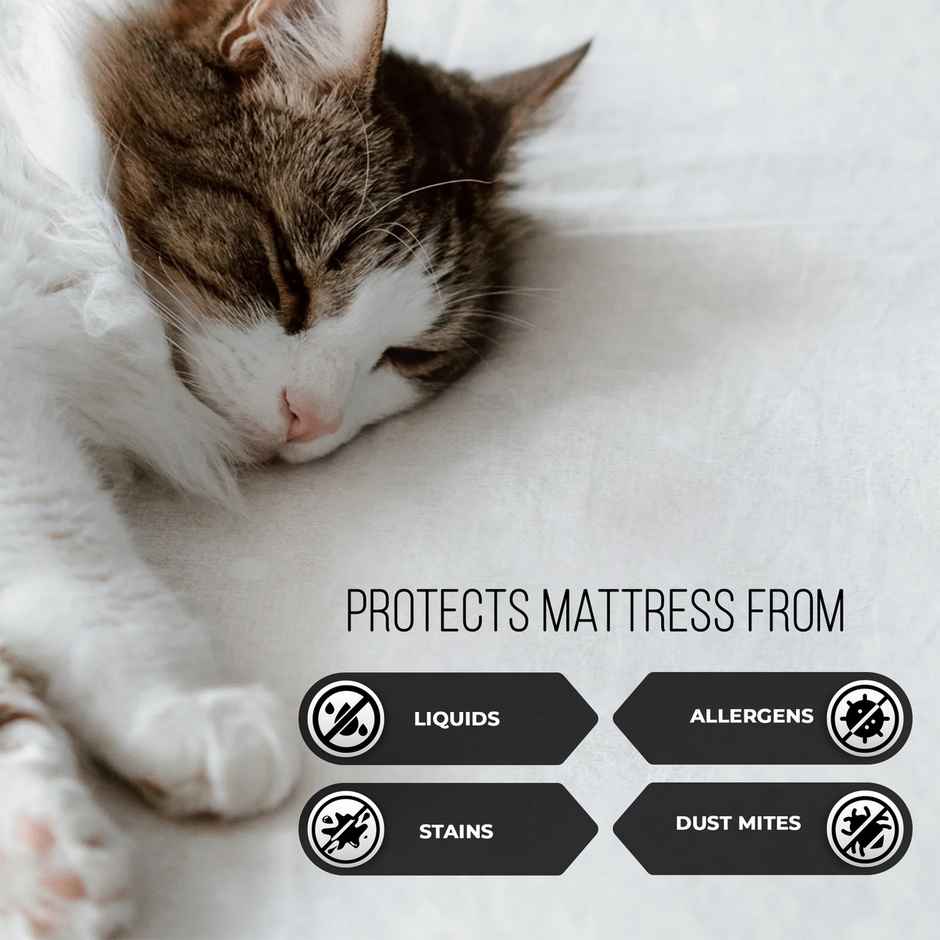 Story@Home Terry 100% Waterproof and Dustproof Premium King Size Mattress Protector | 78 x 60 inch