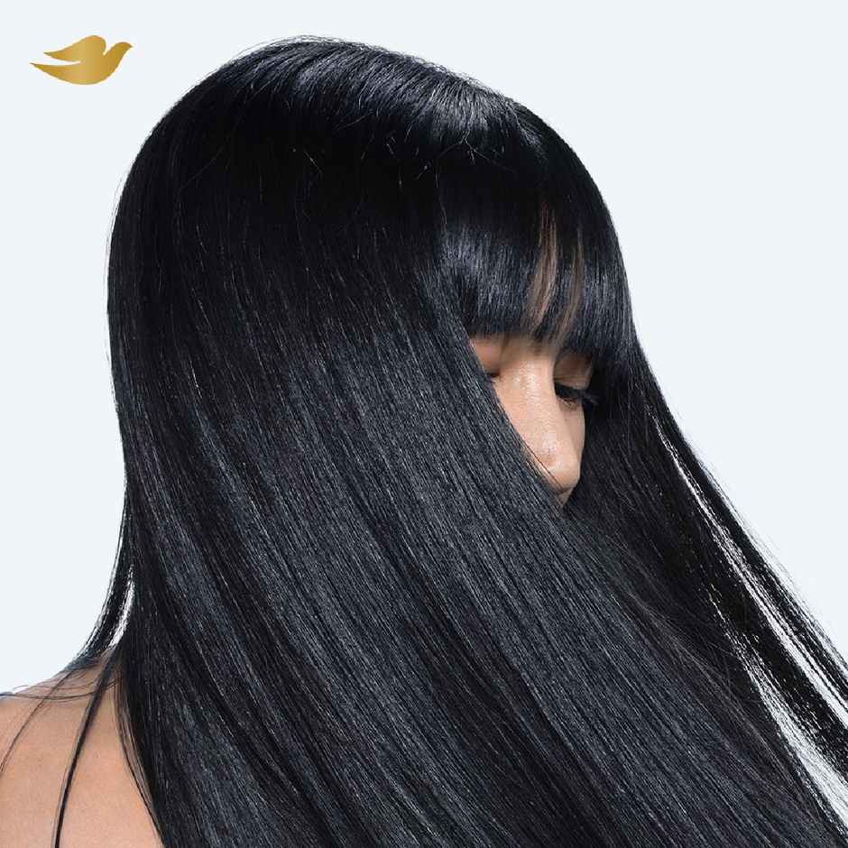 Dove Daily Shine Shampoo (340ml) & Conditioner (175ml) Combo