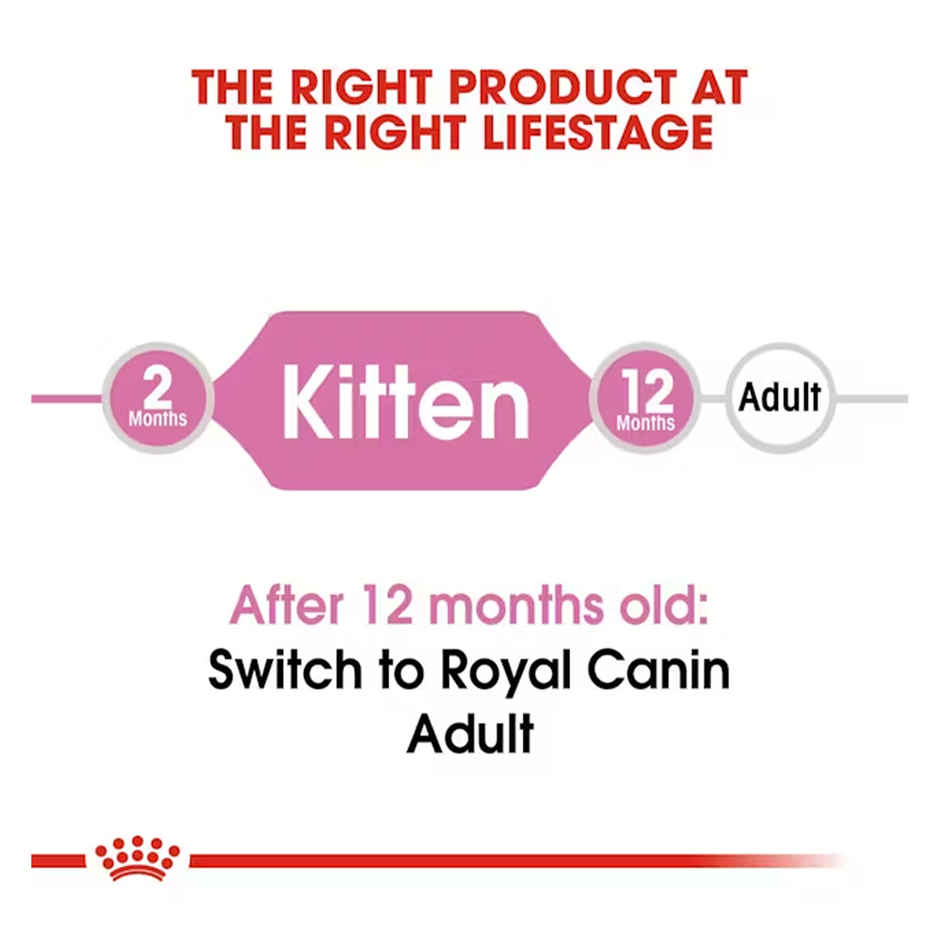 Royal Canin Kitten 36 Cat Dry Food 2kg