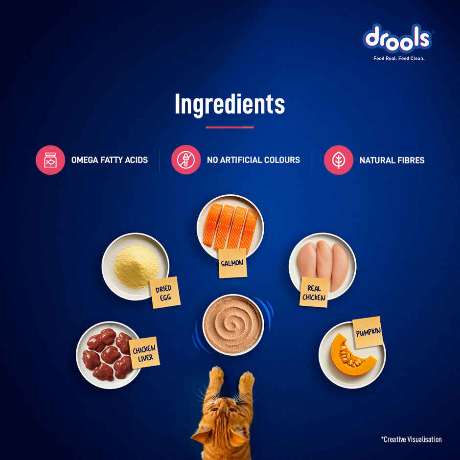 Drools Salmon Mousse Kitten Wet Food