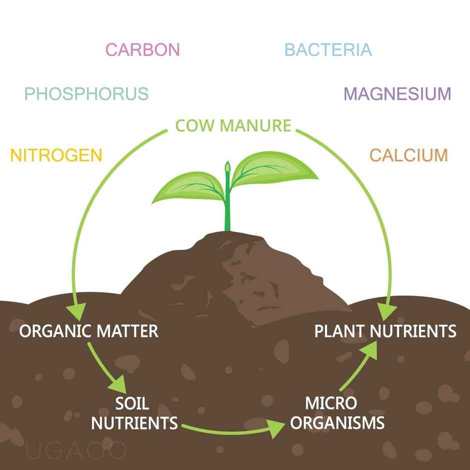 Ugaoo Cow Dung Manure Fertilizers For Plants & Home Gardening