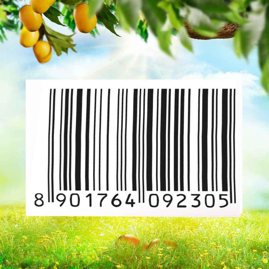 Maaza Mango Fruit Juice | Ready to Drink Beverage