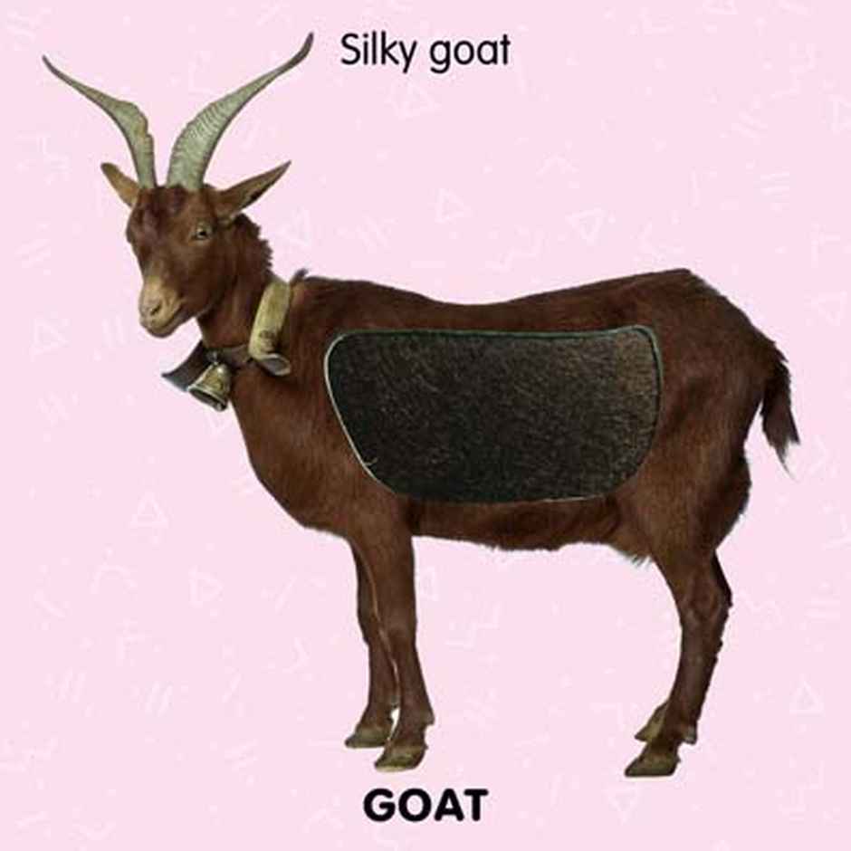 Farm Animals Touch & Feel Book For Kids Ages 1-3|Early Learning Books For Toddlers & Preschoolers