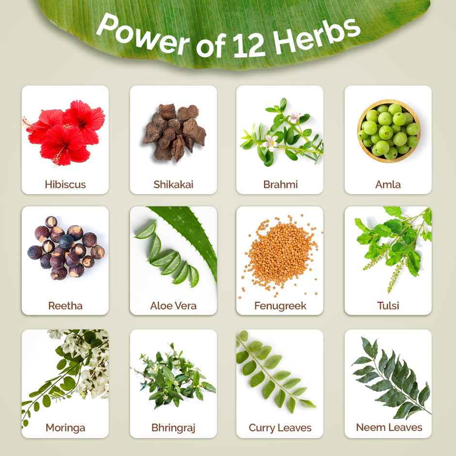 Mamaearth Kerala Thaali Hair Oil With Hibiscus, Bhringraj, Methi Dana & Amla For Thick & Long Hair