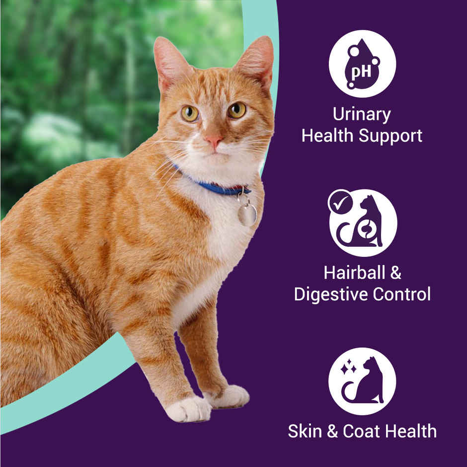 Purrfeto Dry Cat Food Chicken & Ocean Fish | Adult