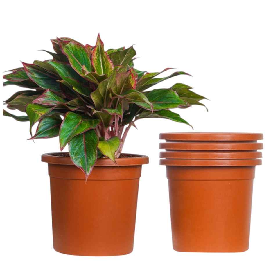 Nurturing Green - Nursery Plastic Pots for Plants | Set of 5 | Terracotta | Size: 20cm x 19cm