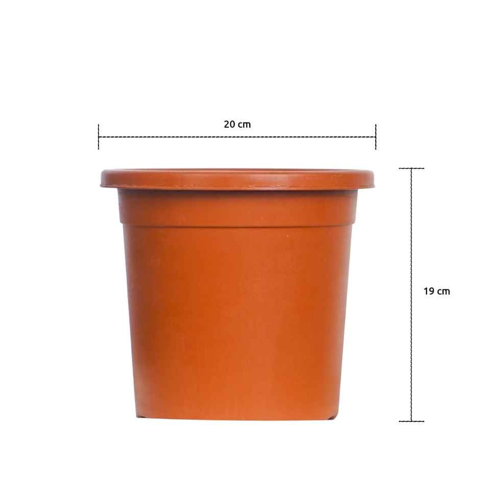 Nurturing Green - Nursery Plastic Pots for Plants | Set of 5 | Terracotta | Size: 20cm x 19cm