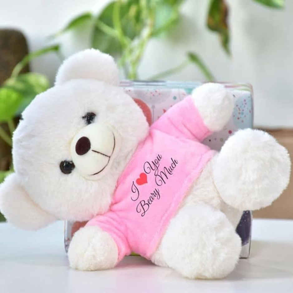 Fablue Soft Cuddly Teddy Bear Soft Toy for Kids | Ultra-Soft Plush Toy with Pink Shirt