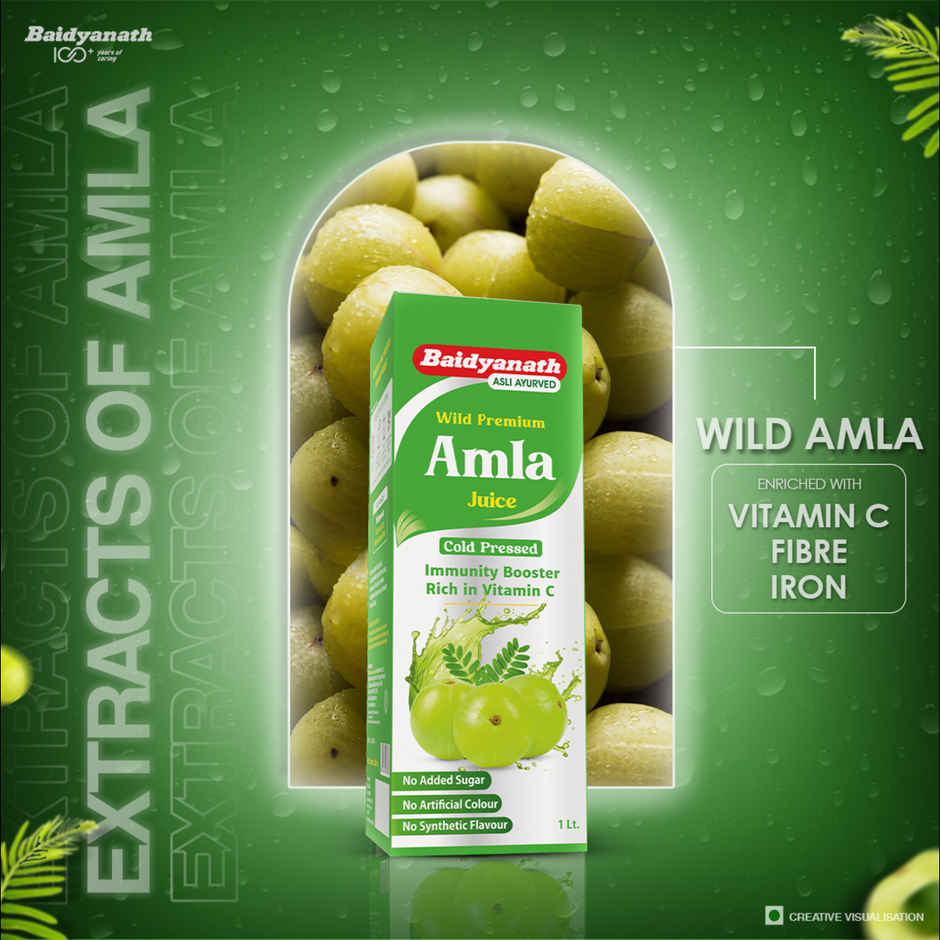 Baidyanath Amla Juice 