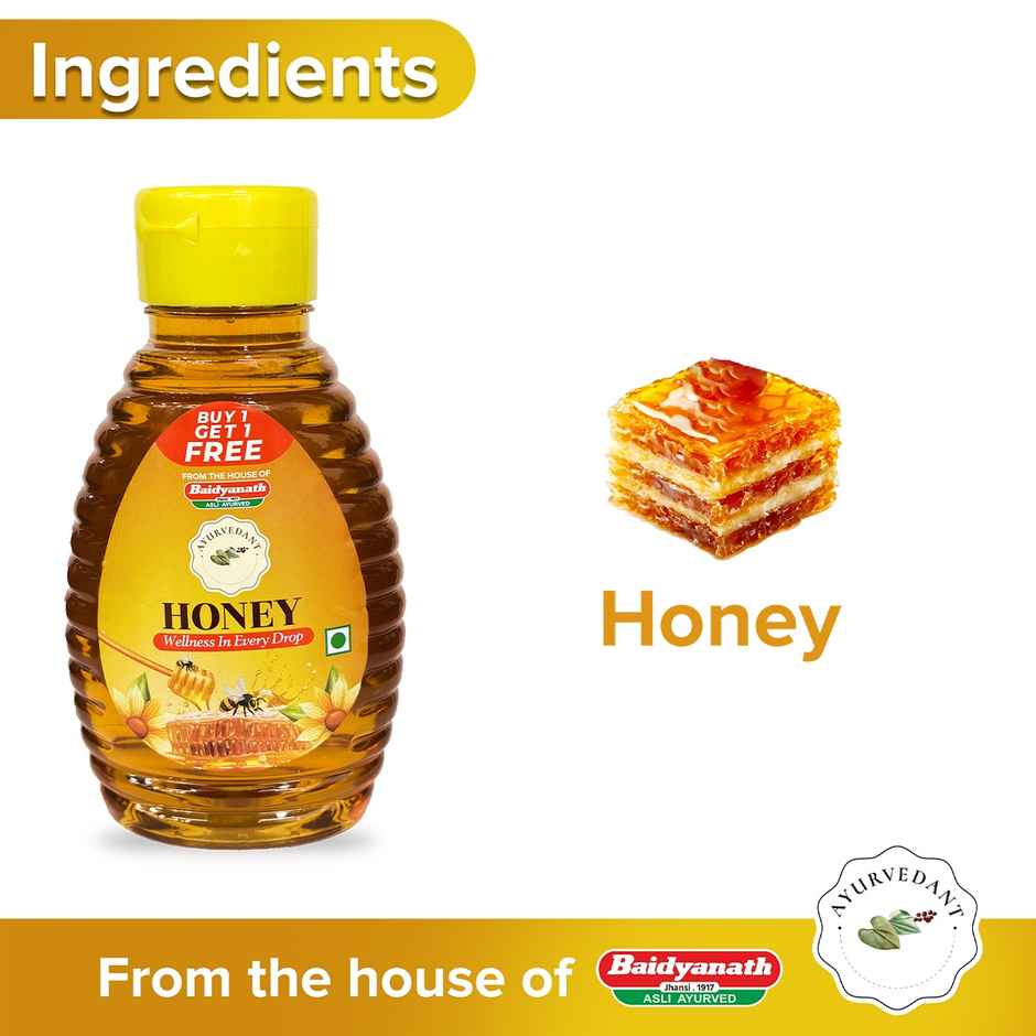 Baidyanath Ayurvedant Honey Squeeze Pack | BUY 1 GET 1 FREE