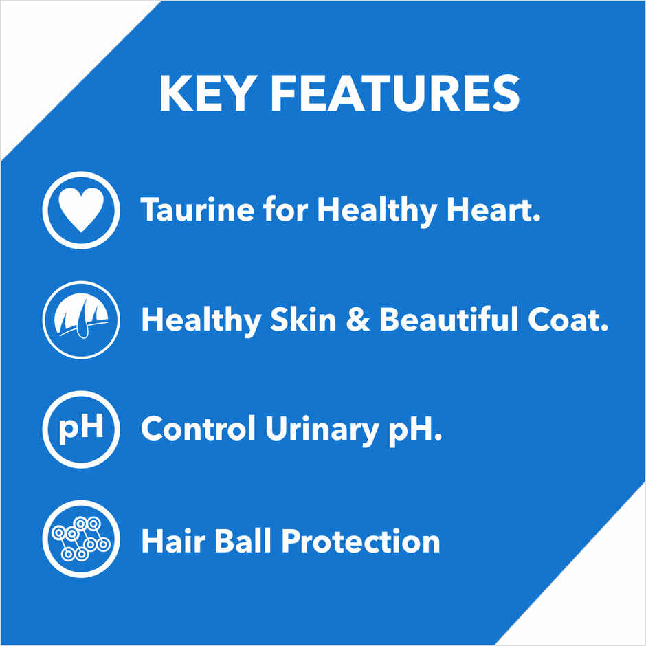 Drools Kitten (1-12 Months) Dry Cat Food With Free Container - Ocean Fish