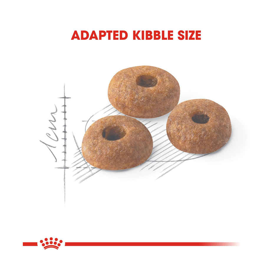 Royal Canin Fit 32 Regular Adult Cat Dry Food 400g