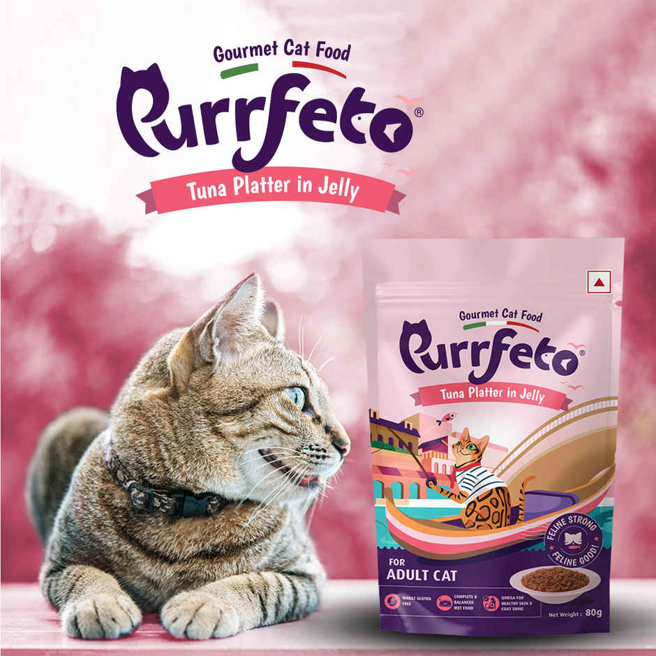 Purrfeto Wet Cat Food Tuna Recipe in Jelly