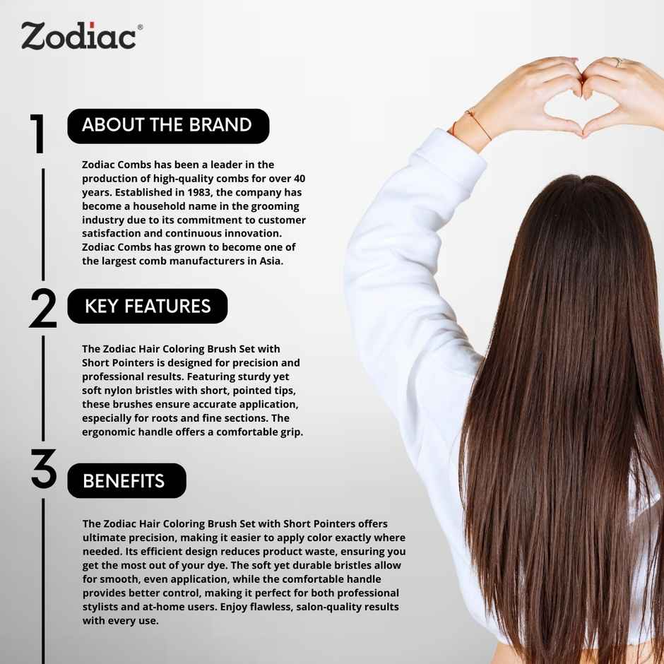 Zodiac Bs-001 Hair Dye Brush Combo