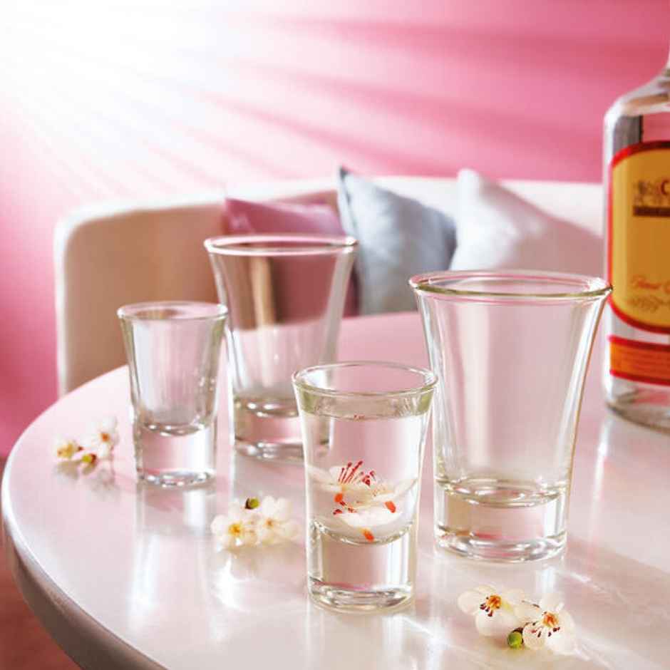 Hot Shot Glass Tumbler Set | 30 ml | Elegant Design | Durable | Dishwasher Safe | Roxx