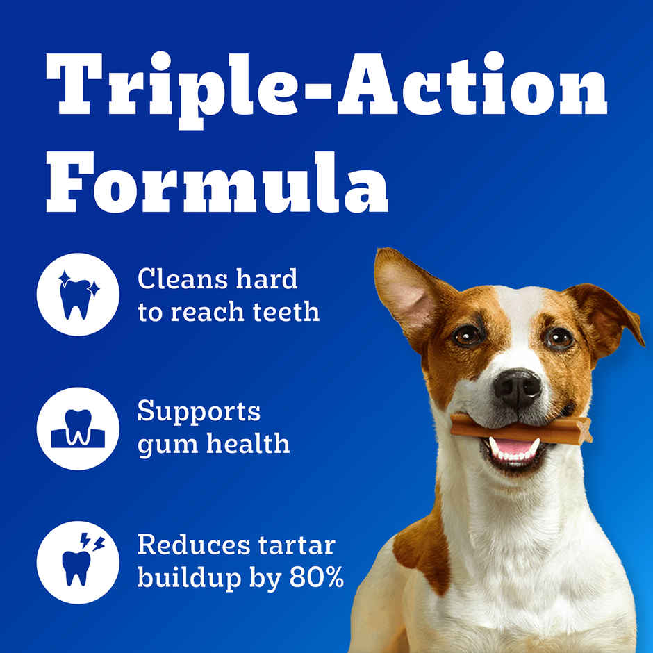 Pedigree Dentastix Adult Small Breed (5-10 Kg) Oral Care Dog Treat Combo