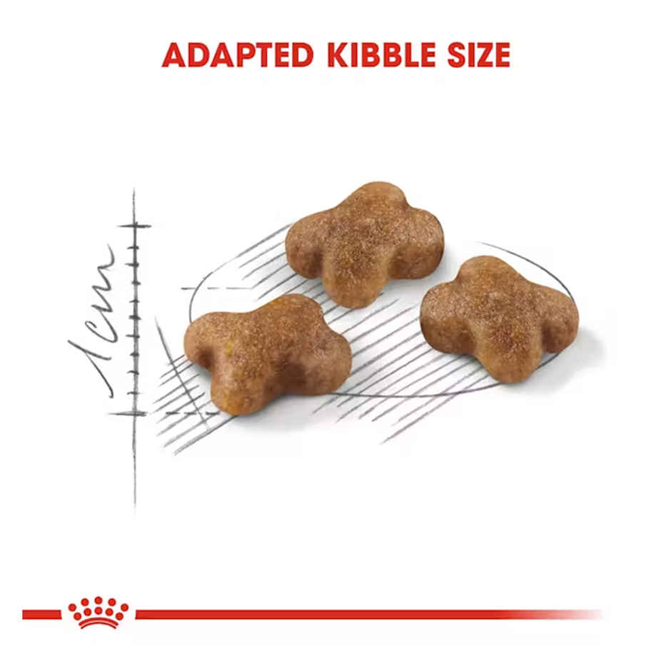 Royal Canin Kitten 36 Cat Dry Food 2kg