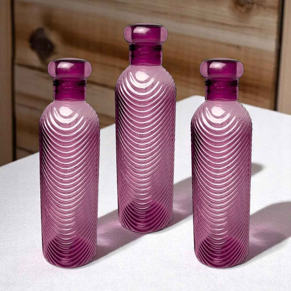 H2O BPA-free Plastic Water Bottle | Set of 3 pcs | Each 1000 ml | Purple