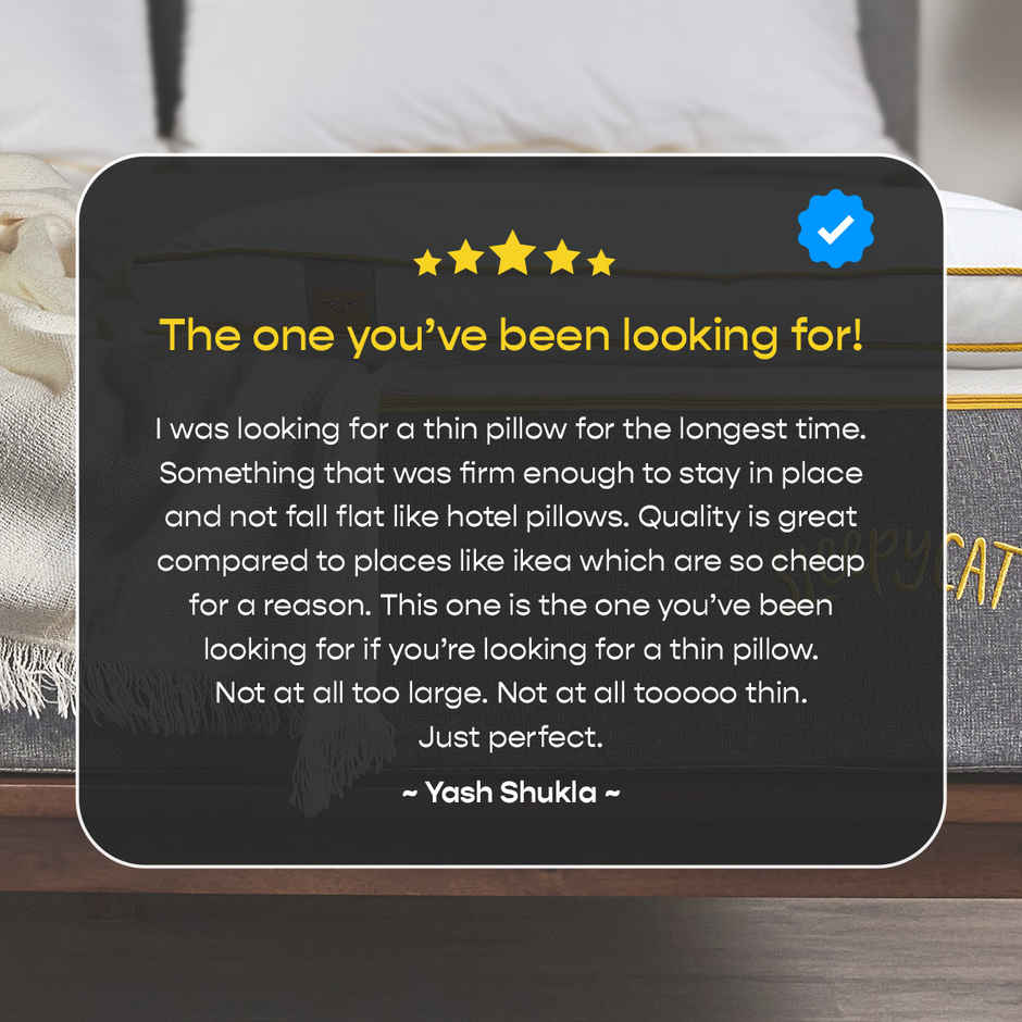 SleepyCat Slim Pillow Luxe Microfibre Pillow Standard (Size, 26 x 16 Inches)