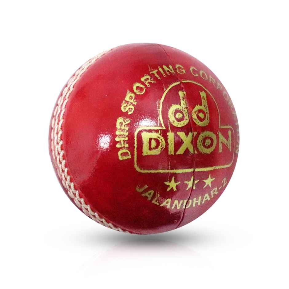 Toyshine A-Grade Leather Cricket Ball, Hand-Stitched 156g Test Match Special for MCC Regulation