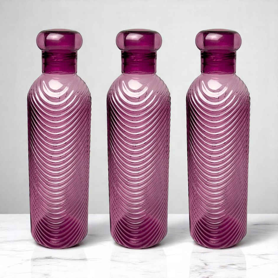 H2O BPA-free Plastic Water Bottle | Set of 3 pcs | Each 1000 ml | Purple