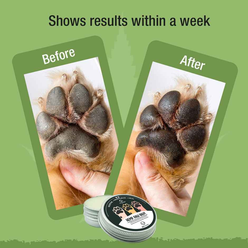 Goofy Tails Hemp Paw Balm Dog | Paw Cream | Paw Butter | Dog Moisturiser