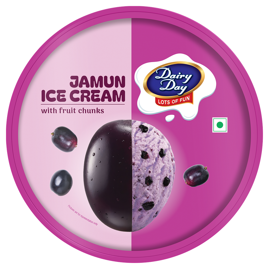 Dairy Day Jamun Fruit Chunks Ice Cream Tub