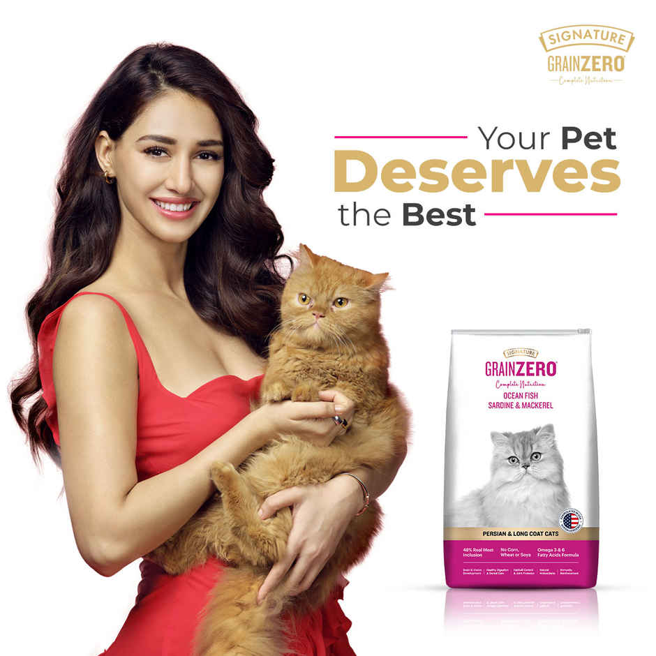 Signature Grain Zero Persian Dry Cat Food | Ocean Fish Sardines & Mackerel